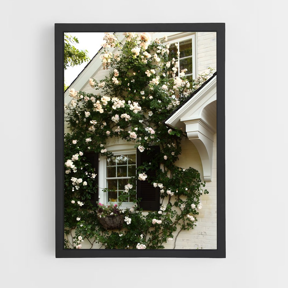 ap-climbing rose-10 cadre Noir
