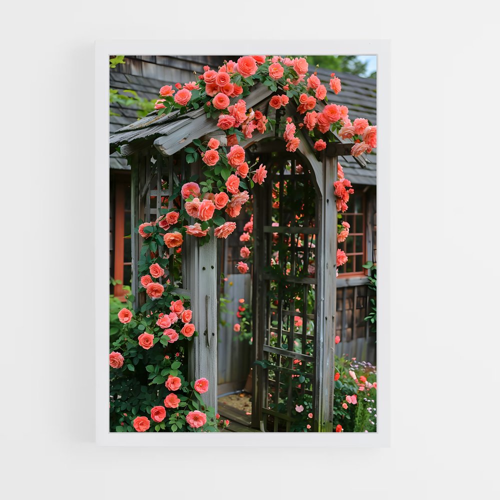 ap-climbing rose-3 cadre Blanc