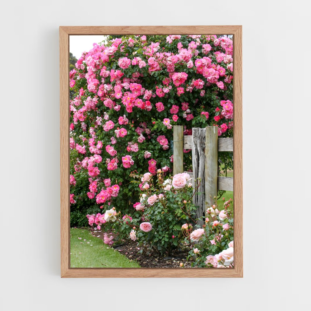 ap-climbing rose-9 cadre Bois clair