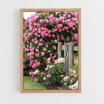 ap-climbing rose-9 cadre Bois clair