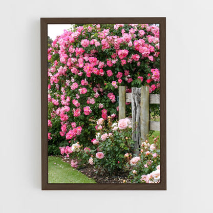 ap-climbing rose-9 cadre Bois foncé