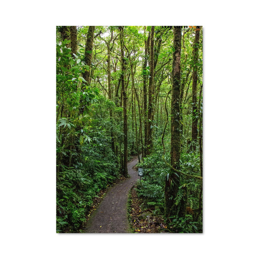 Poster Sentier Mystérieux