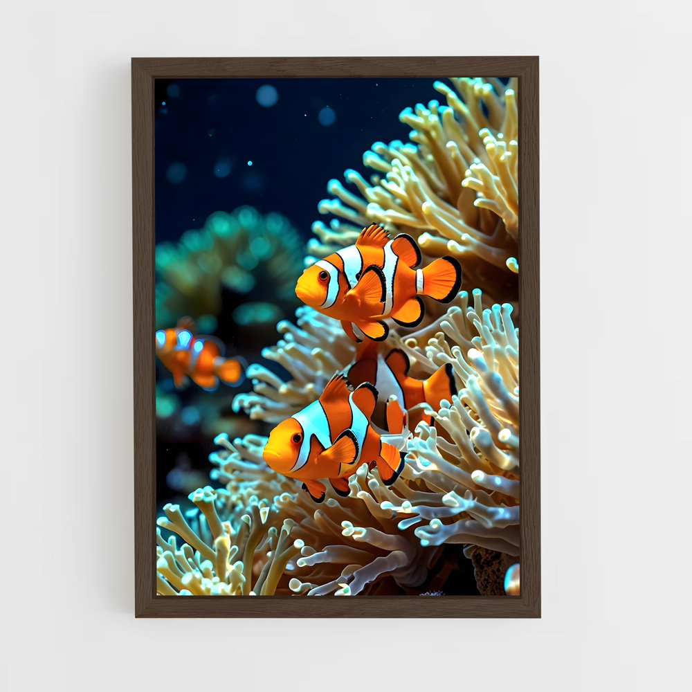 ap-clownfish-1 cadre Bois foncé