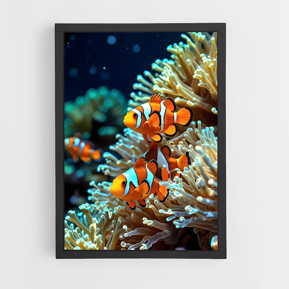 ap-clownfish-1 cadre Noir