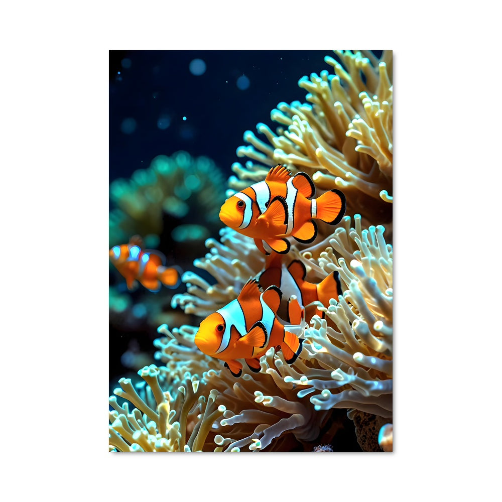 Poster L'Ami des Mers