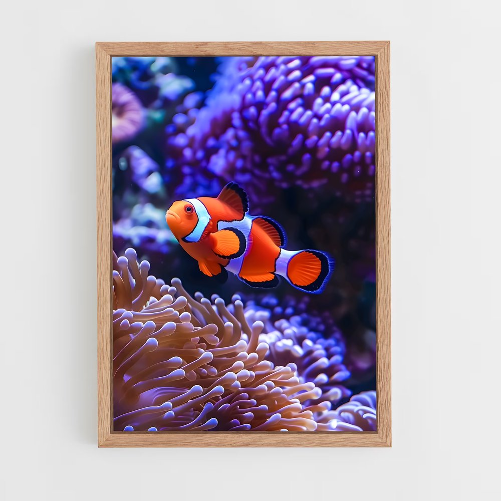 ap-clownfish-7 cadre Bois clair
