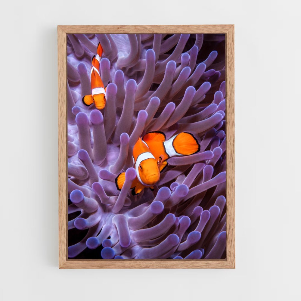 ap-clownfish-8 cadre Bois clair