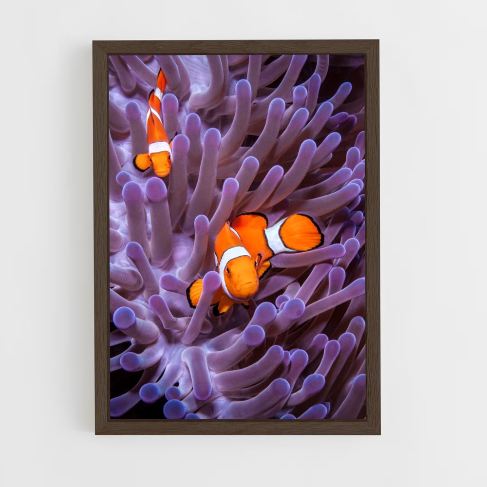 ap-clownfish-8 cadre Bois foncé
