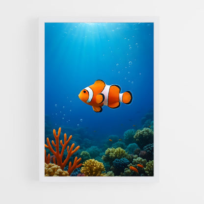 ap-clownfish-9 cadre Blanc