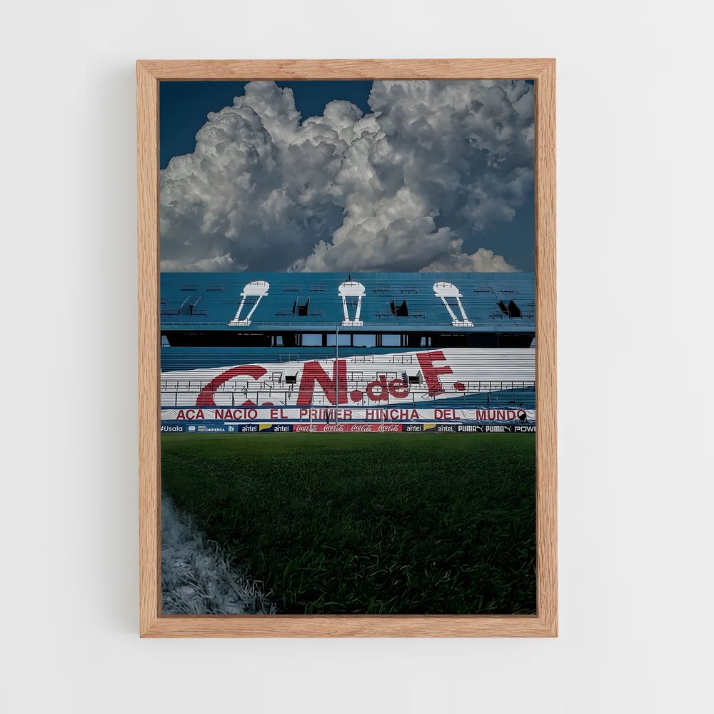 ap-club nacional de football-10 cadre Bois clair