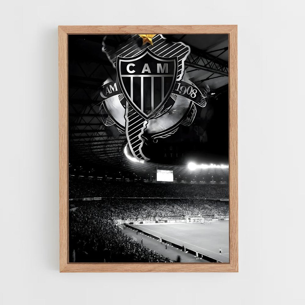 ap-clube atletico mineiro-12 cadre Bois clair