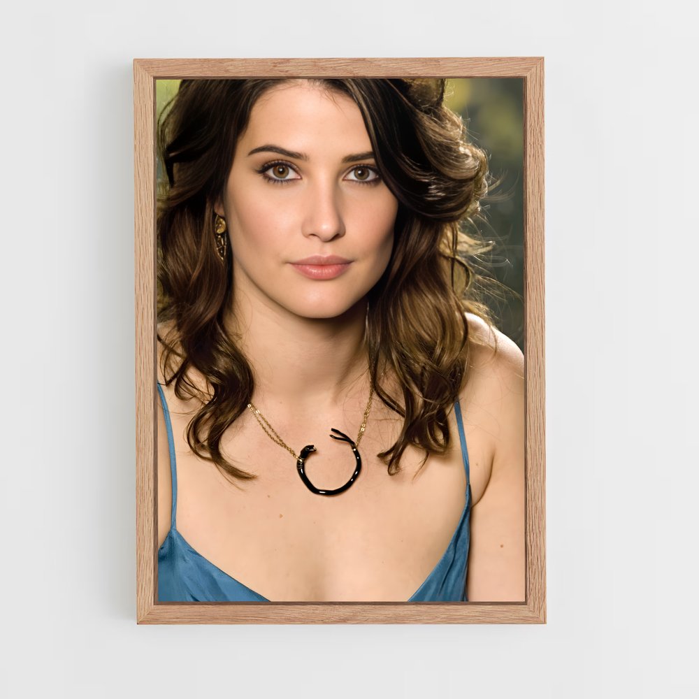 ap-cobie smulders-5 cadre Bois clair