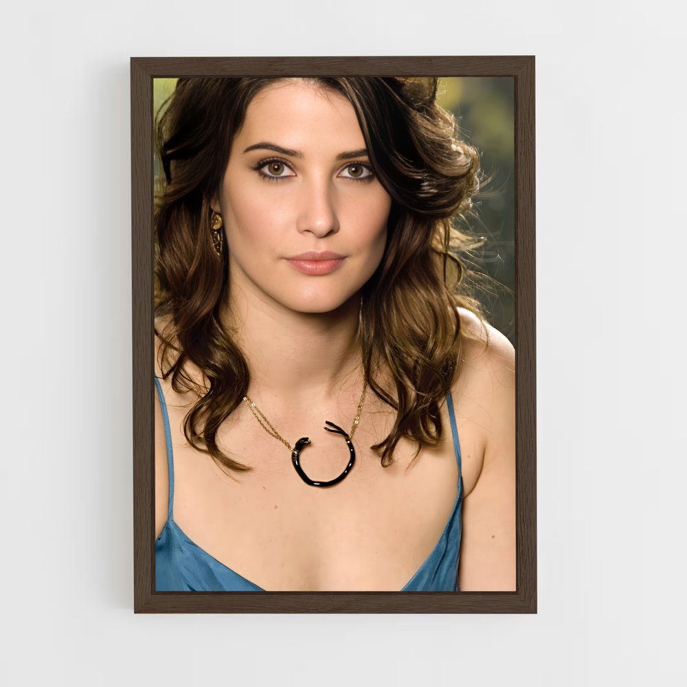 ap-cobie smulders-5 cadre Bois foncé
