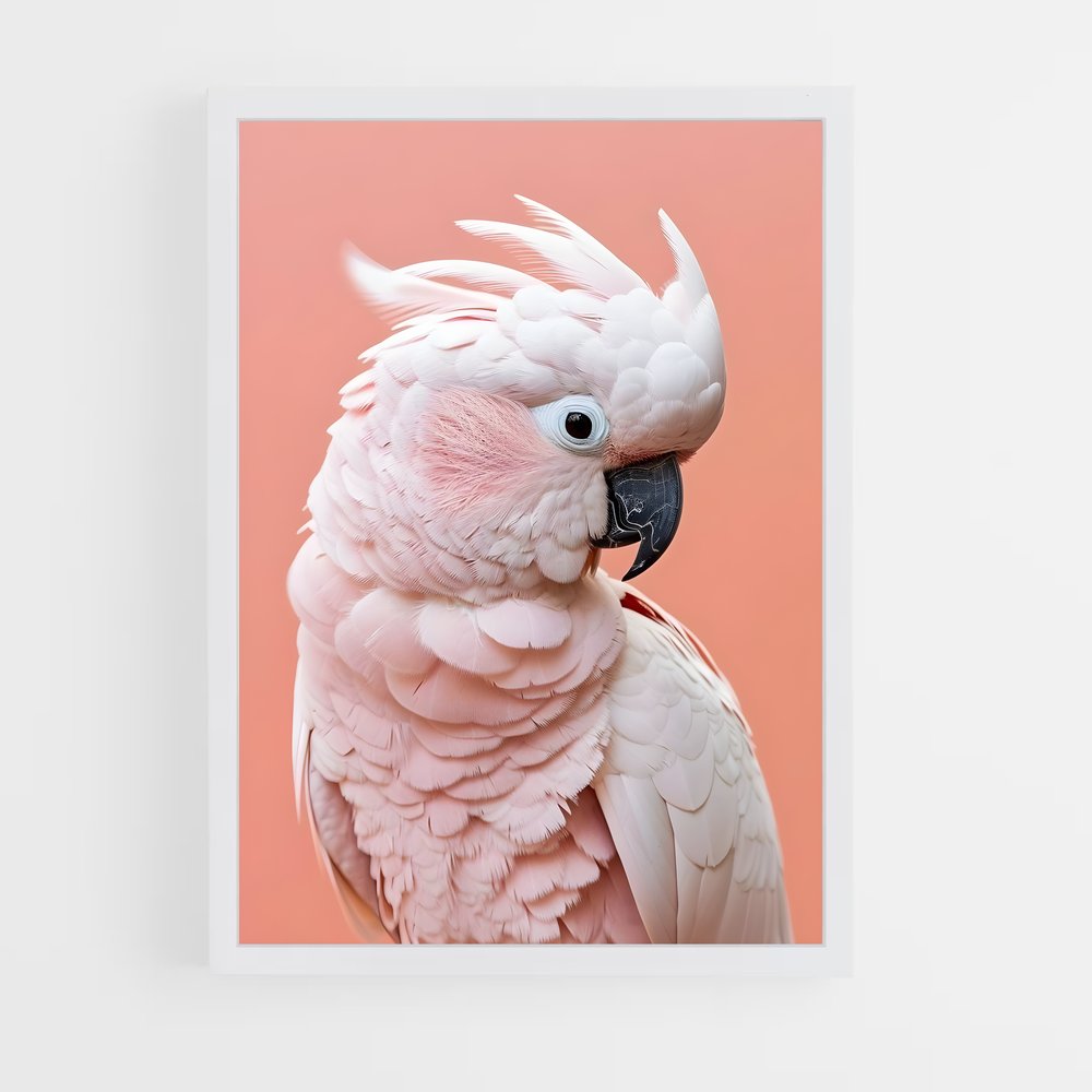 ap-cockatoo-5 cadre Blanc
