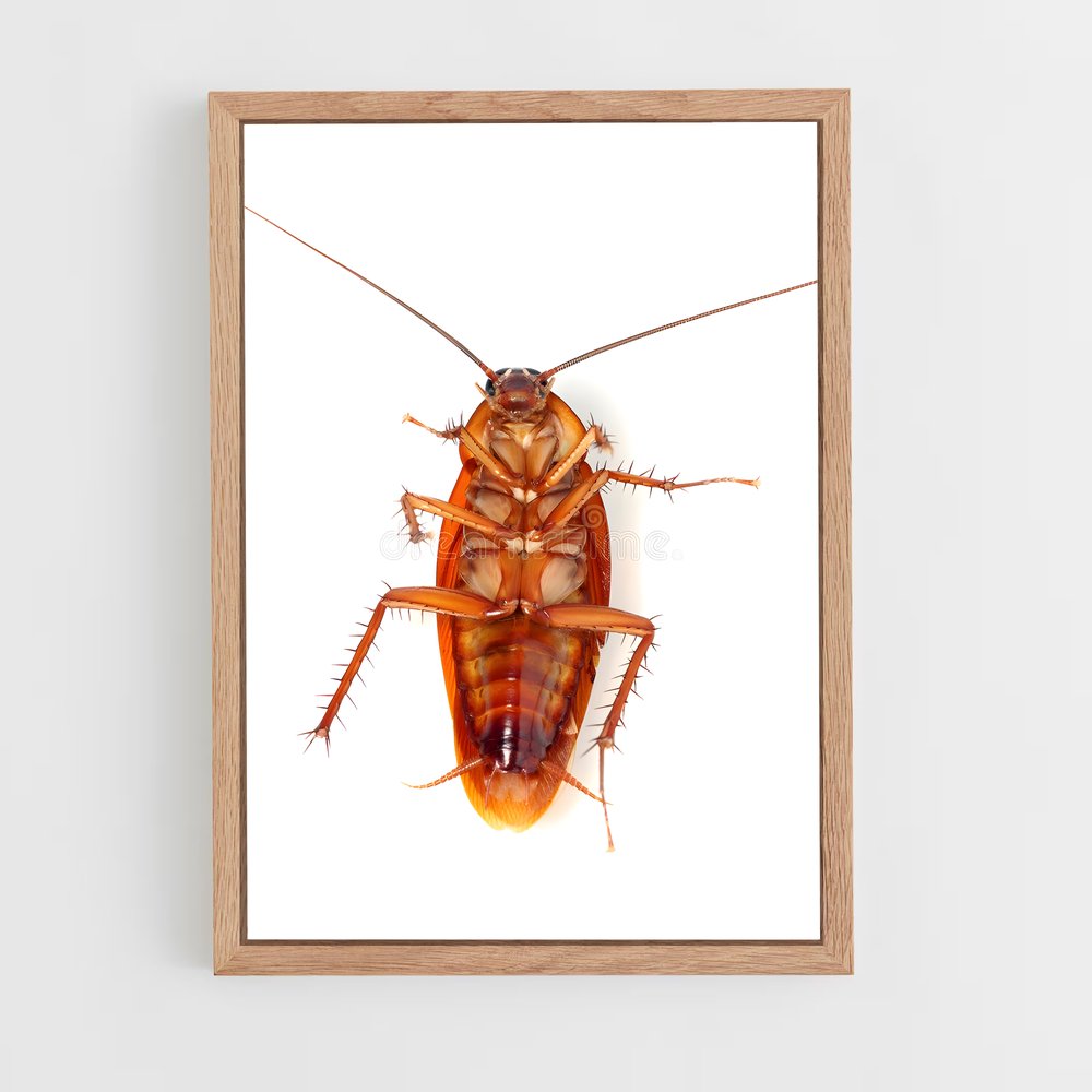 ap-cockroach-1 cadre Bois clair