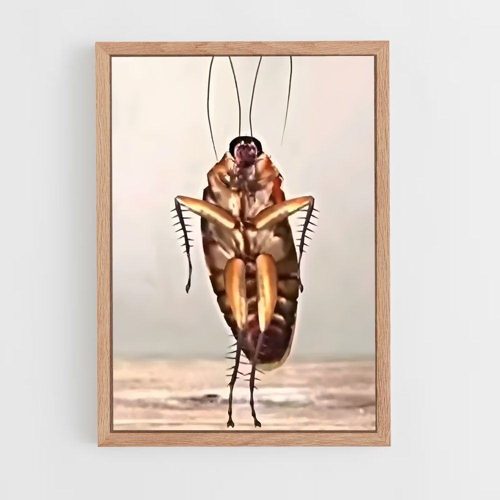 ap-cockroach-2 cadre Bois clair