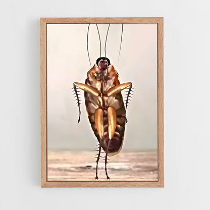 ap-cockroach-2 cadre Bois clair