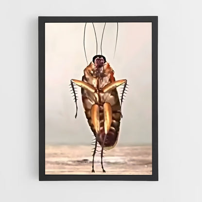 ap-cockroach-2 cadre Noir