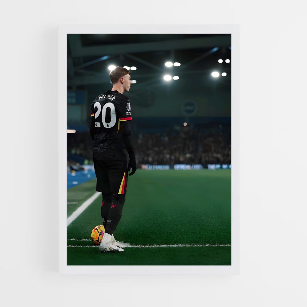 ap-cole palmer-8 cadre Blanc