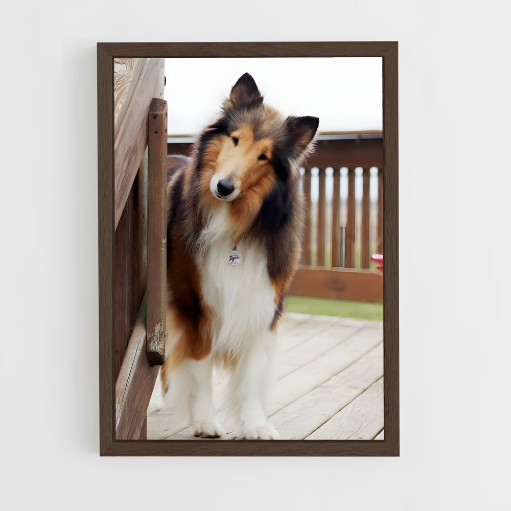 ap-collie-1 cadre Bois foncé