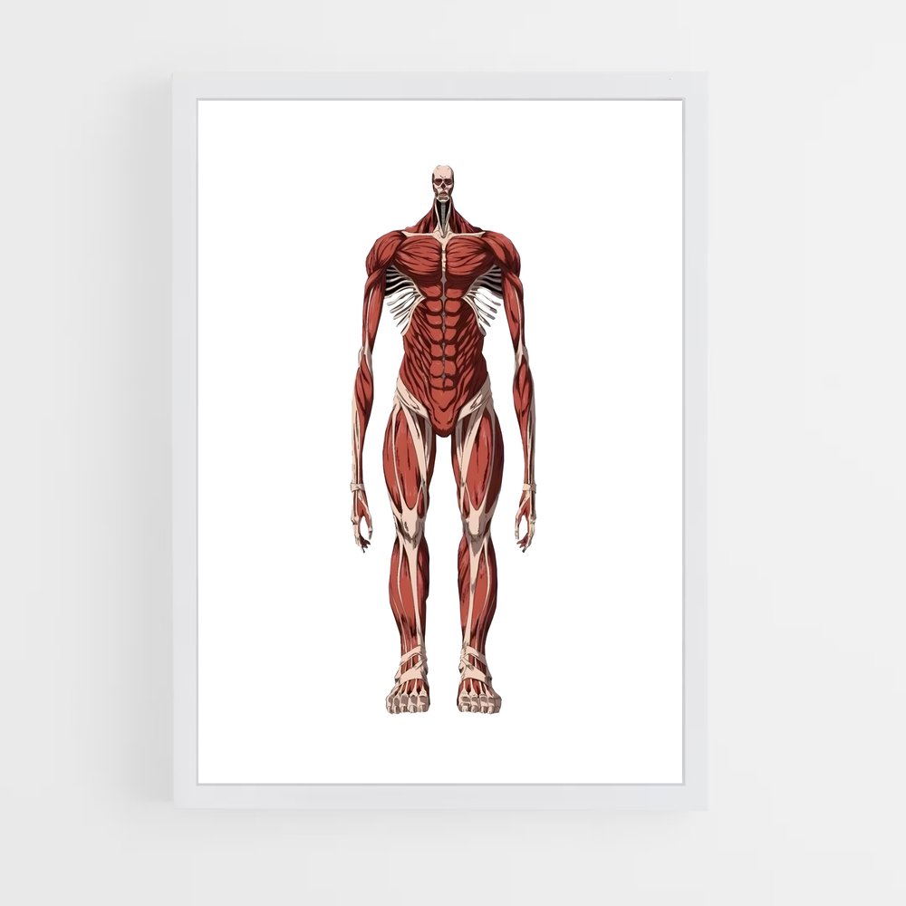 ap-colossal titan-6 cadre Blanc