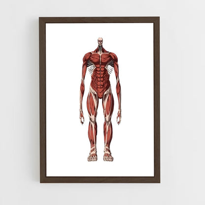 ap-colossal titan-6 cadre Bois foncé