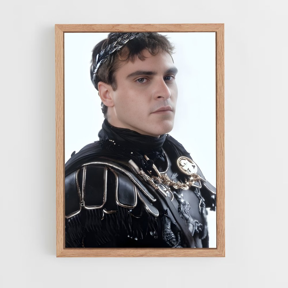 ap-commodus-5 cadre Bois clair
