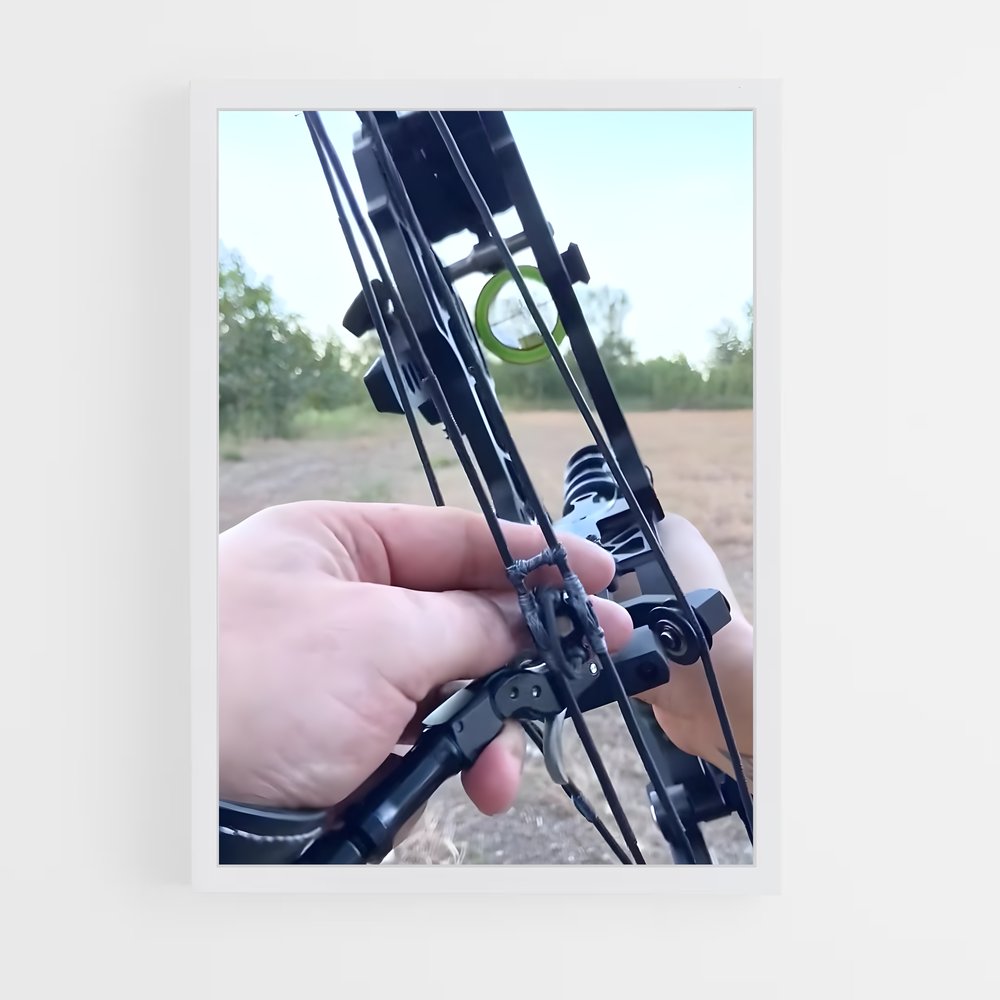ap-compound bow vs recurve-2 cadre Blanc