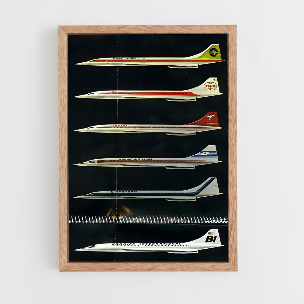 ap-concorde-4 cadre Bois clair