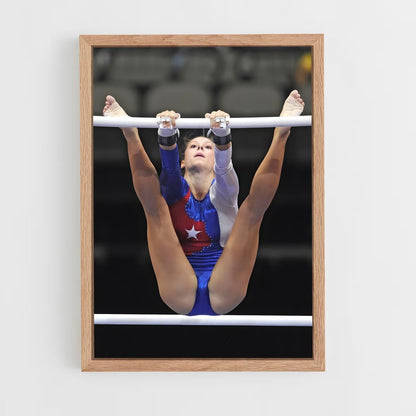 ap-continental championships gymnastics-4 cadre Bois clair