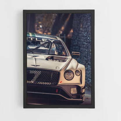 ap-continental gt3-1 cadre Noir
