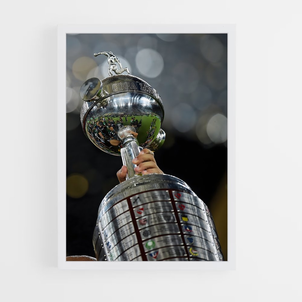 ap-copa libertadores-4 cadre Blanc