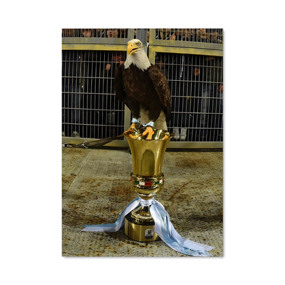Poster Eagle's Glory