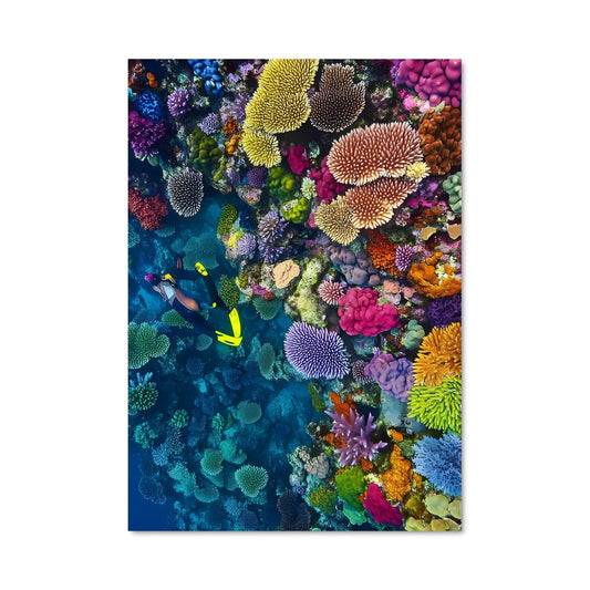 Poster Reef Harmony