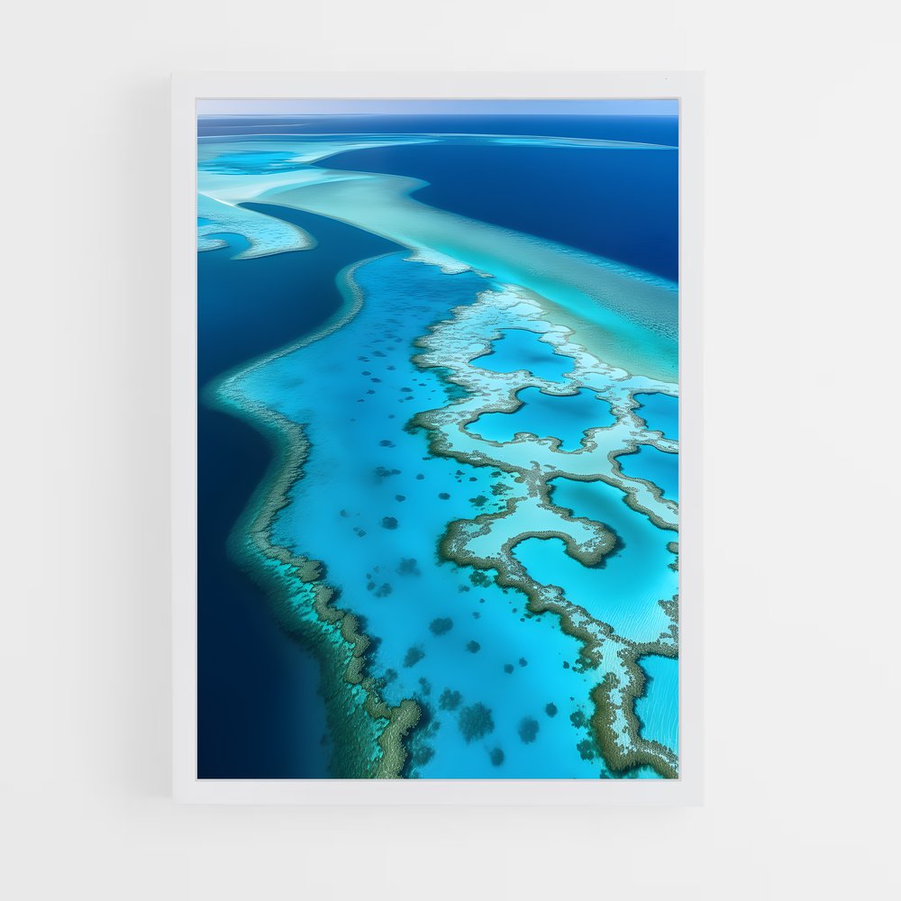 ap-coral reef-4 cadre Blanc