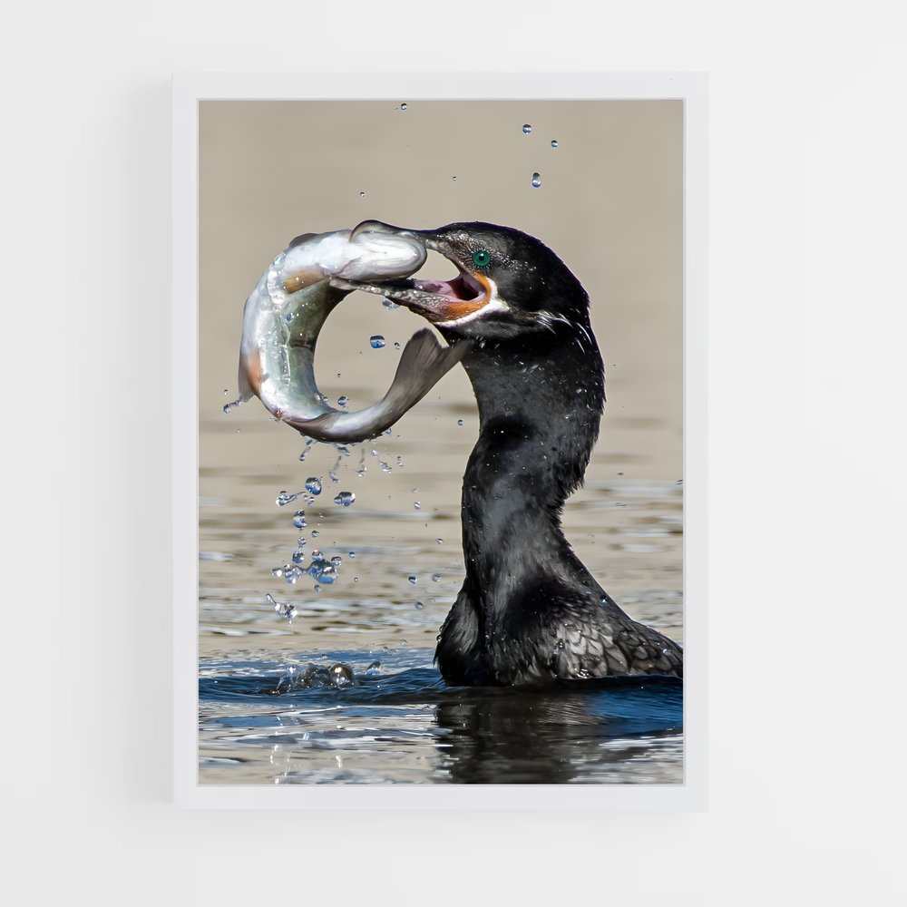 ap-cormorant-4 cadre Blanc