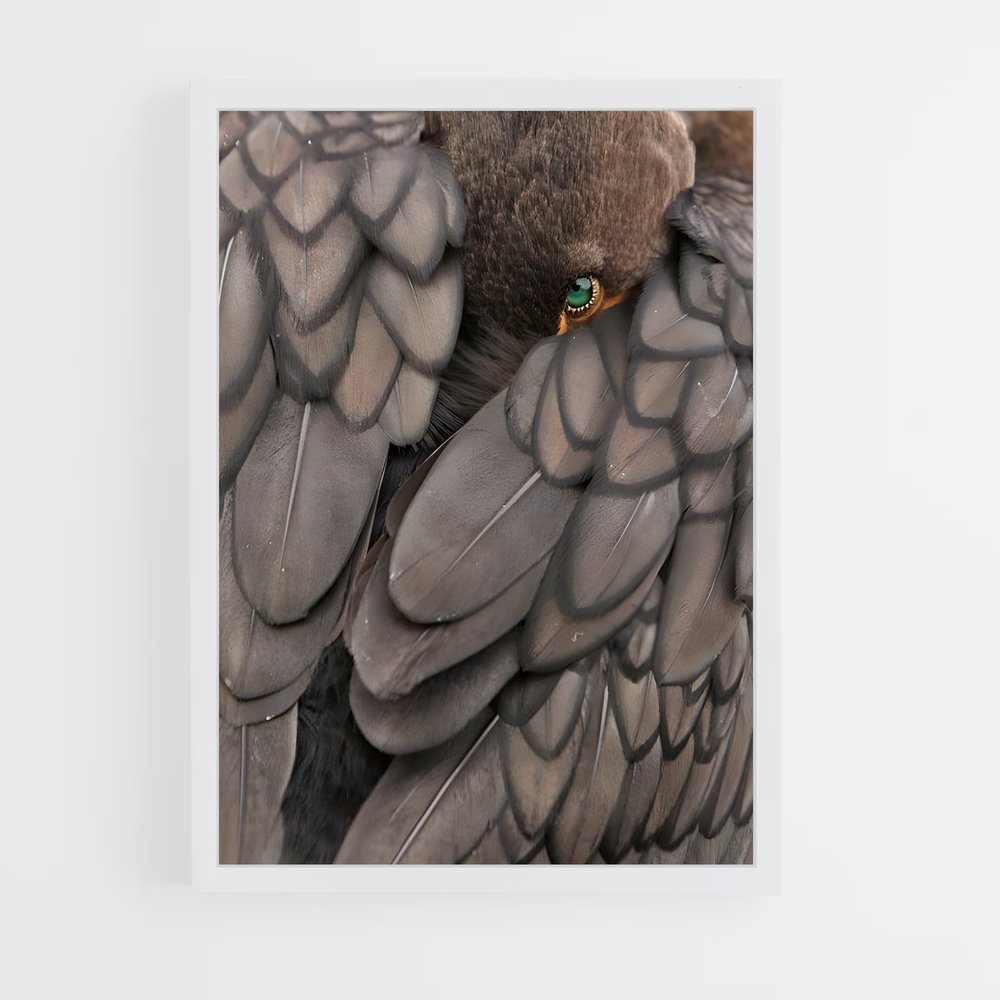 ap-cormorant-5 cadre Blanc