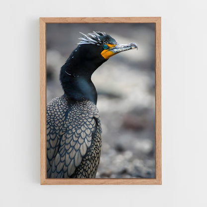 ap-cormorant-6 cadre Bois clair