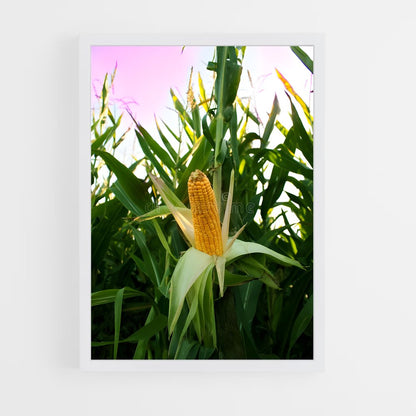 ap-corn-5 cadre Blanc