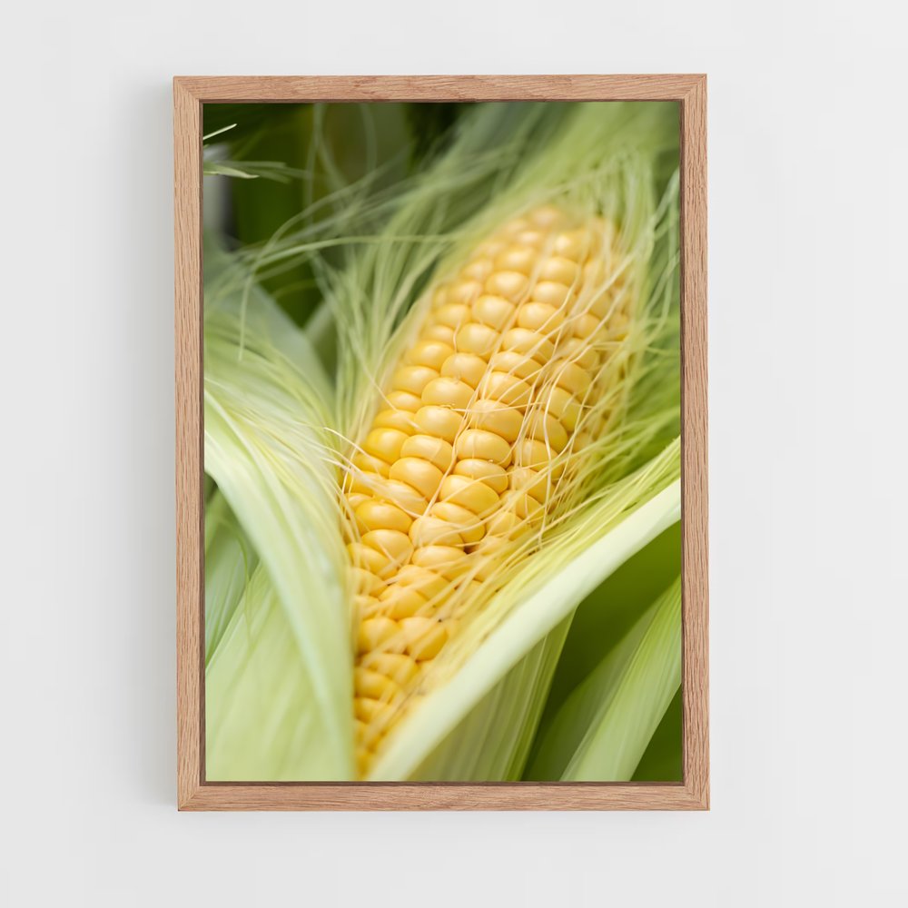 ap-corn-6 cadre Bois clair