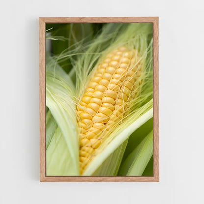 ap-corn-6 cadre Bois clair