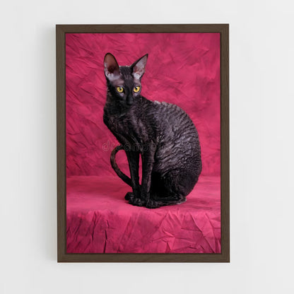 ap-cornish rex-1 cadre Bois foncé