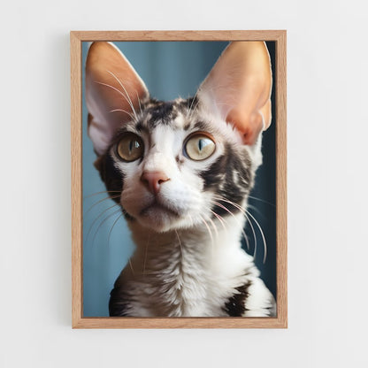 ap-cornish rex-3 cadre Bois clair
