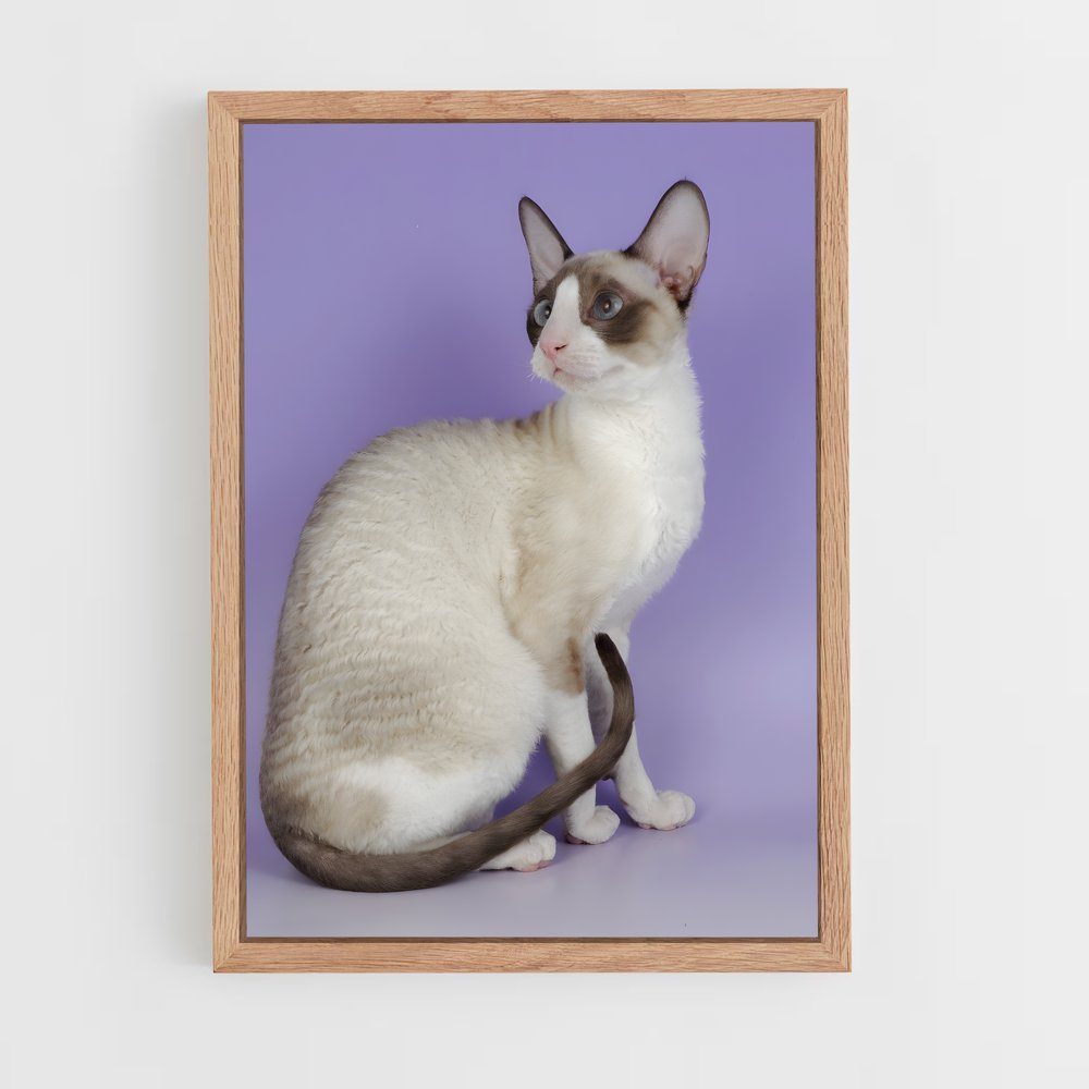 ap-cornish rex-4 cadre Bois clair