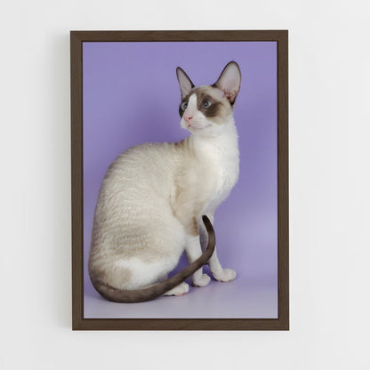 ap-cornish rex-4 cadre Bois foncé