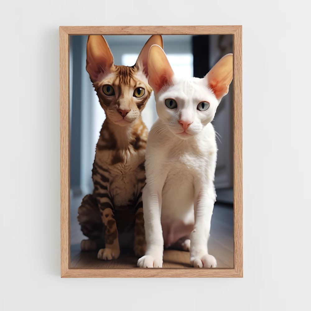 ap-cornish rex-5 cadre Bois clair
