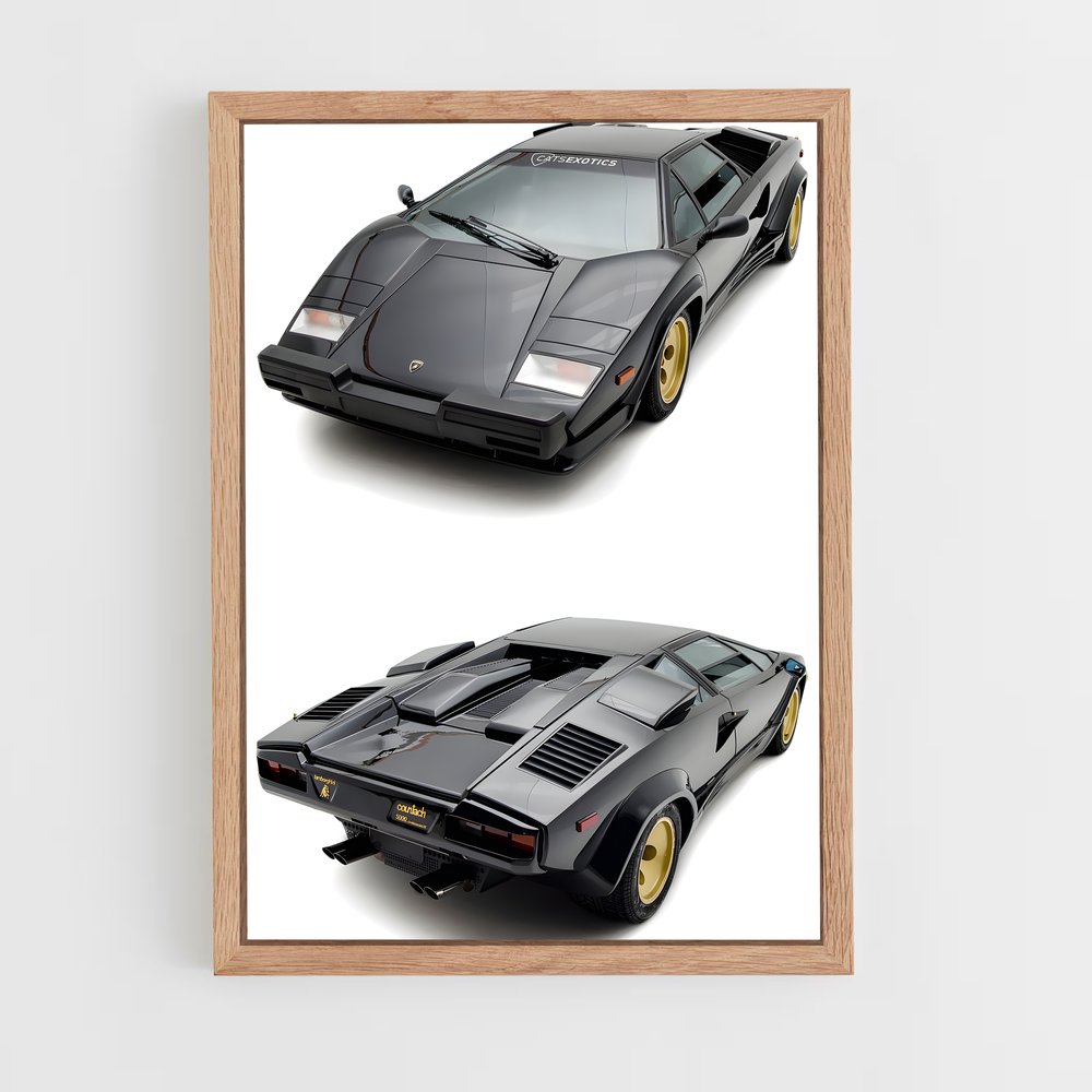 ap-countach-7 cadre Bois clair