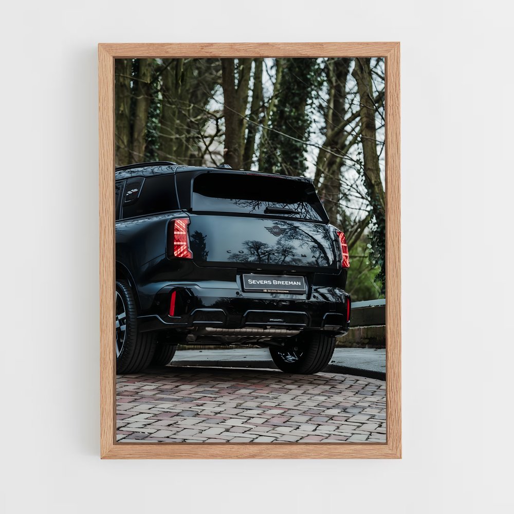 ap-countryman jcw-1 cadre Bois clair