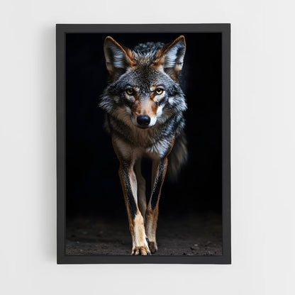 ap-coyote-7 cadre Noir