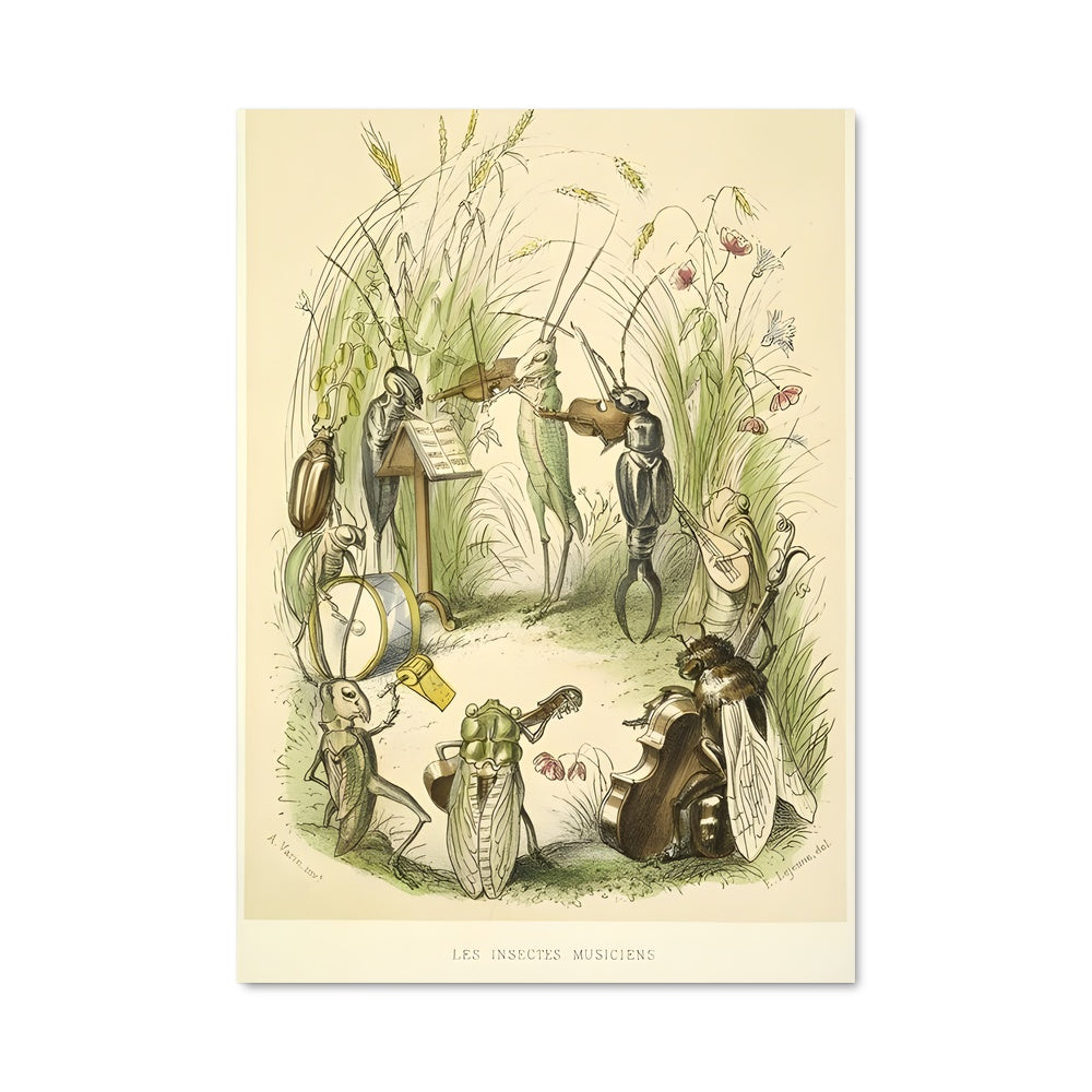 Poster Cricket en Fête